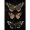 Vintage Dark Academia Moths Victorian Gothic Insect Illustration Art Posters Canvas Painting Wall Prints Picture Room Home Decor