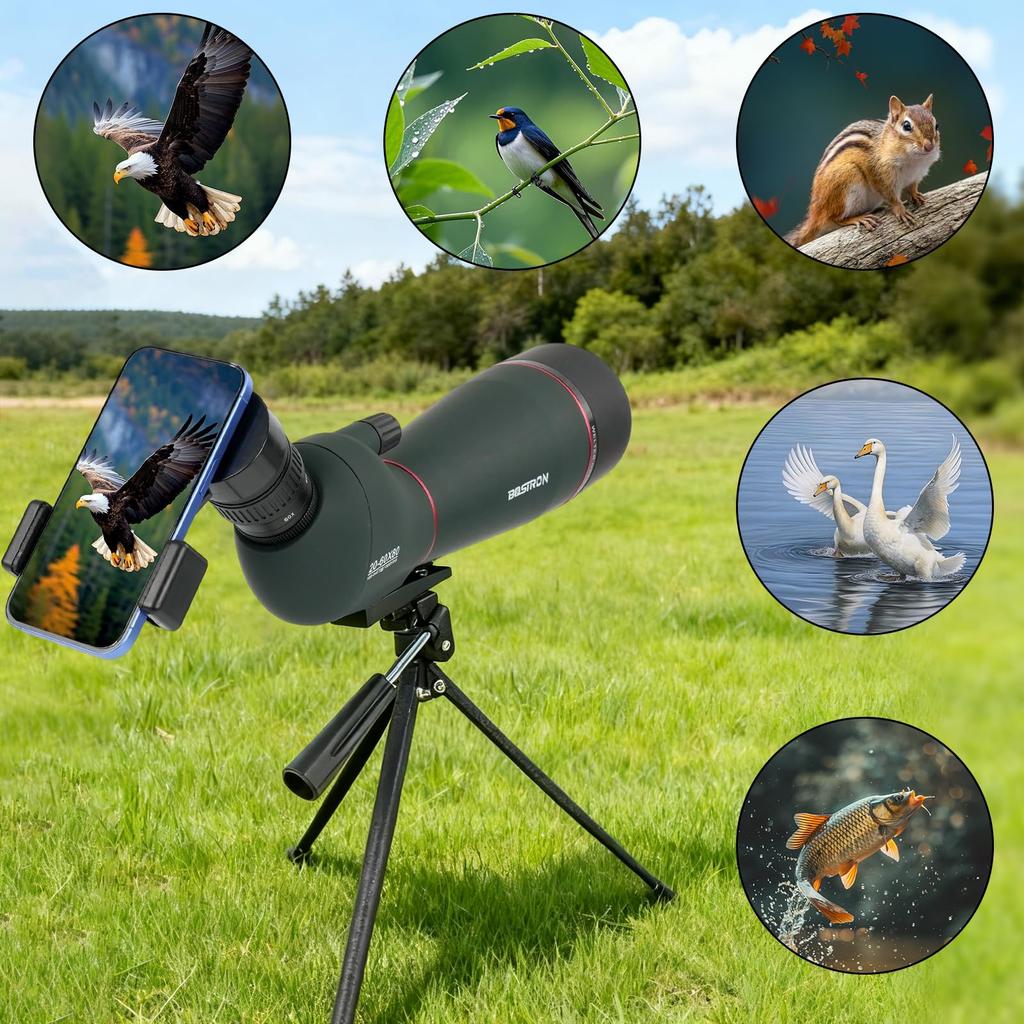 BOSTRON 80mm Inner Objective Spotting Scope Moon Celestial Relay High Terrestrial 60x Image FMC BK9 Astronomy Beginner Bird Nature with Telescopic