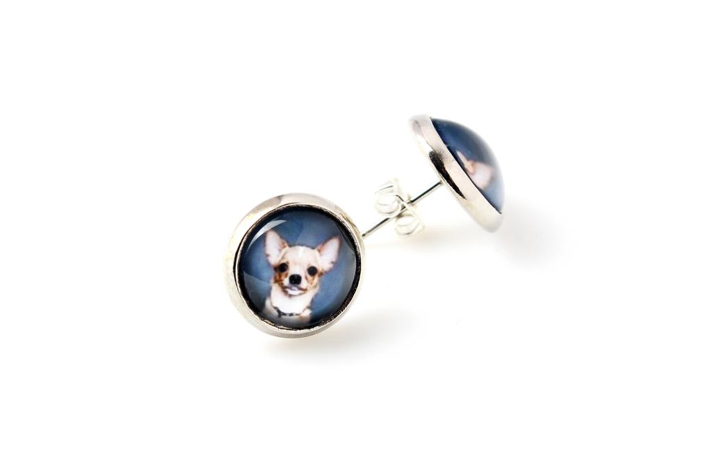 Dachshund Smooth-haired, Wiener dog, Badger dog – A set of jewelry in a box, necklace | Art-Dog