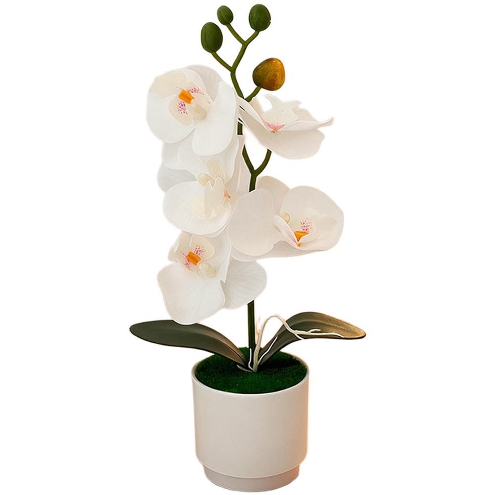 

Nordic For Home Decor Artificial Orchid Potted Plant Realistic Soft Plastic Flower 7.5x7.5x28.5cm White Red Yellow белый