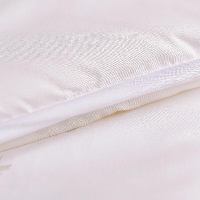 Conch Home Warm Polyester Fiber Quilt