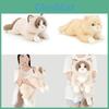 Plush Cat Doll With Pp Cotton Filling For Kids And Adults Snuggling Comfort