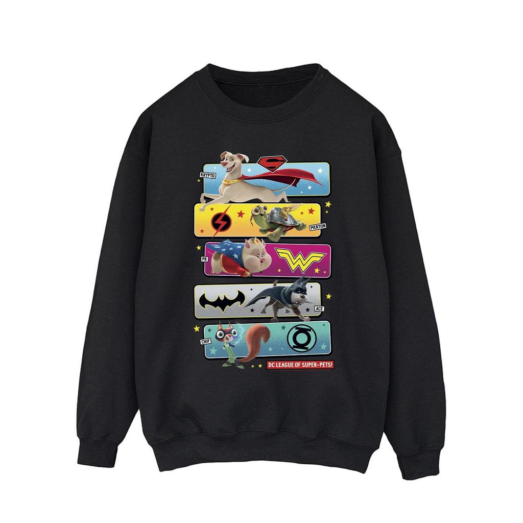 DC Comics Mens DC League Of Super-Pets Character Pose Sweatshirt