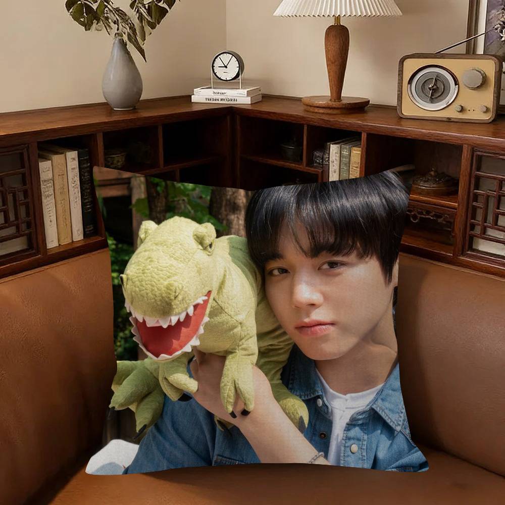 Korean Idol P-Park Ji-Hoon Cushion Cover Pillowcase Upholstery Sofa Throw Pillow Home Decor Pillowcas