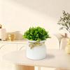 Artificial Plants in Hemisphere Pot Mini Potted Green Plants for Home Desk Decoration Indoor Outdoor Decor B2U3