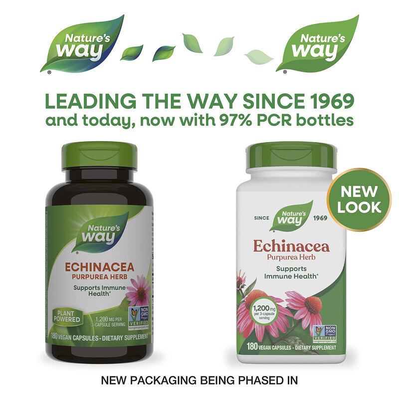 Echinacea Purpurea Herb, 180 Vegan Capsules (400 Mg Per Capsule)