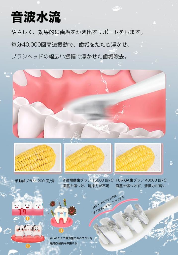 Electric Toothbrush, Sonic, Rechargeable, Beginner-Friendly, 2 Replacement Brush Heads, IPX7 Waterproof, Soft, Whitening, Interdental Cleaning,
