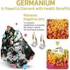 For Weight Loss Magnetherapy Germanium Earrings Lymphatic Drainage Ear Stud  For Weight Loss