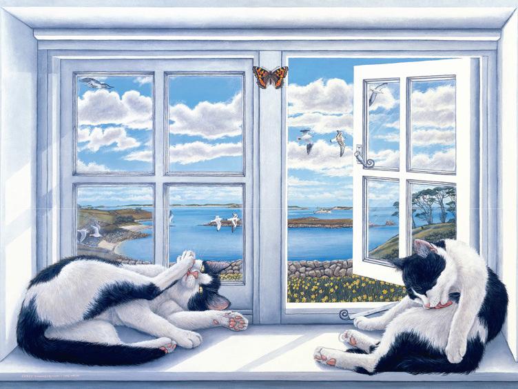 Diamond Mosaic Cat Full Drill Square Diamond Painting Animal Cross Stitch Embroidery Window Picture Rhinestones Wall Art