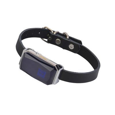 G12 GPS Tracking Locator Wearable Smart Collar Pet Tracking Locator Waterproof IP67 Anti-lost Record Multifunctional for Cat Dog
