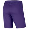 Nike Park III Shorts, Mens Purple Shorts