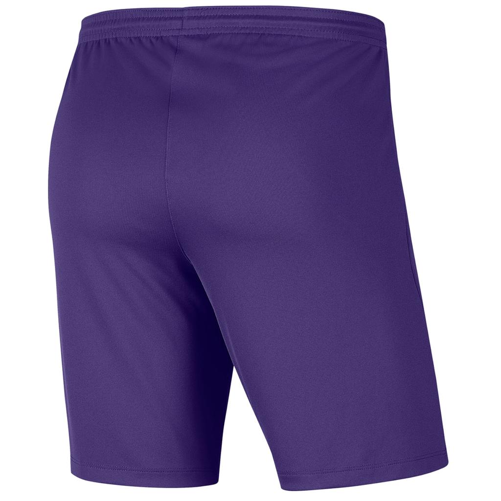 Nike Park III Shorts, Mens Purple Shorts