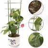 Plant Support Ring  Plant Trellises Garden Basket Plant Fixed Climbing