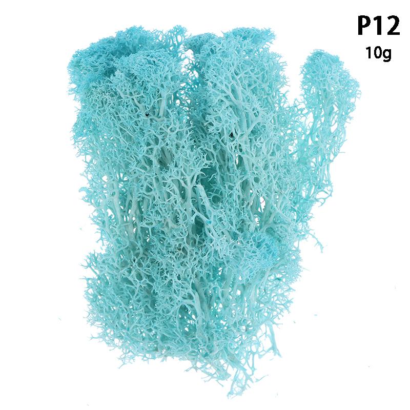 Colorful Natural Artificial Moss Plant DIY Dried Reindeer Moss Decor Resin Epoxy Filling Jewelry Garden Decorate Supplies