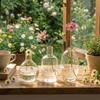 Transparent Glass Vase Triple Connected Plant Terrarium Clear Flower Vases  Indoor Propagation