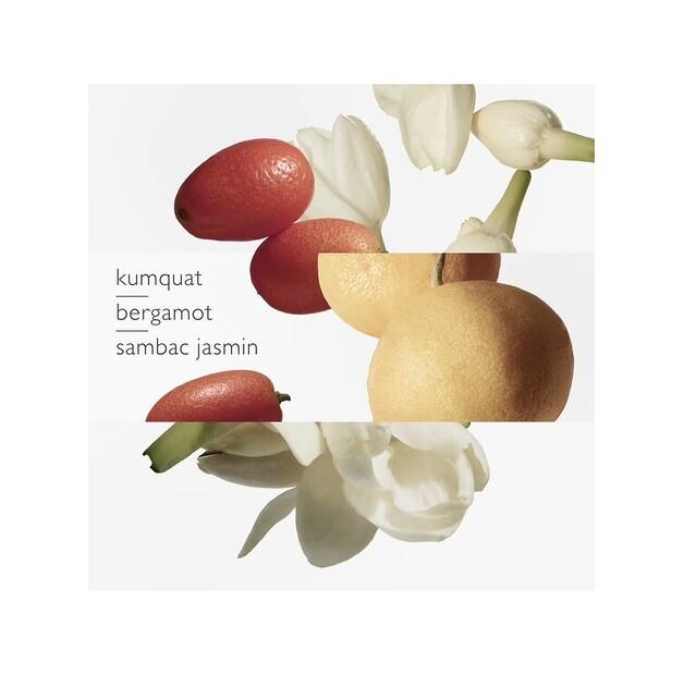 Парфюмерная вода Hermes Le Jardin De Monsieur Li