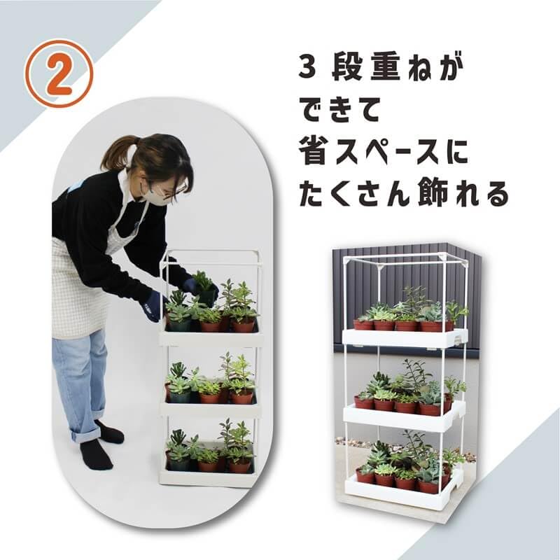 DAIM Succulent Plant Greenhouse 35x28x29cm, White