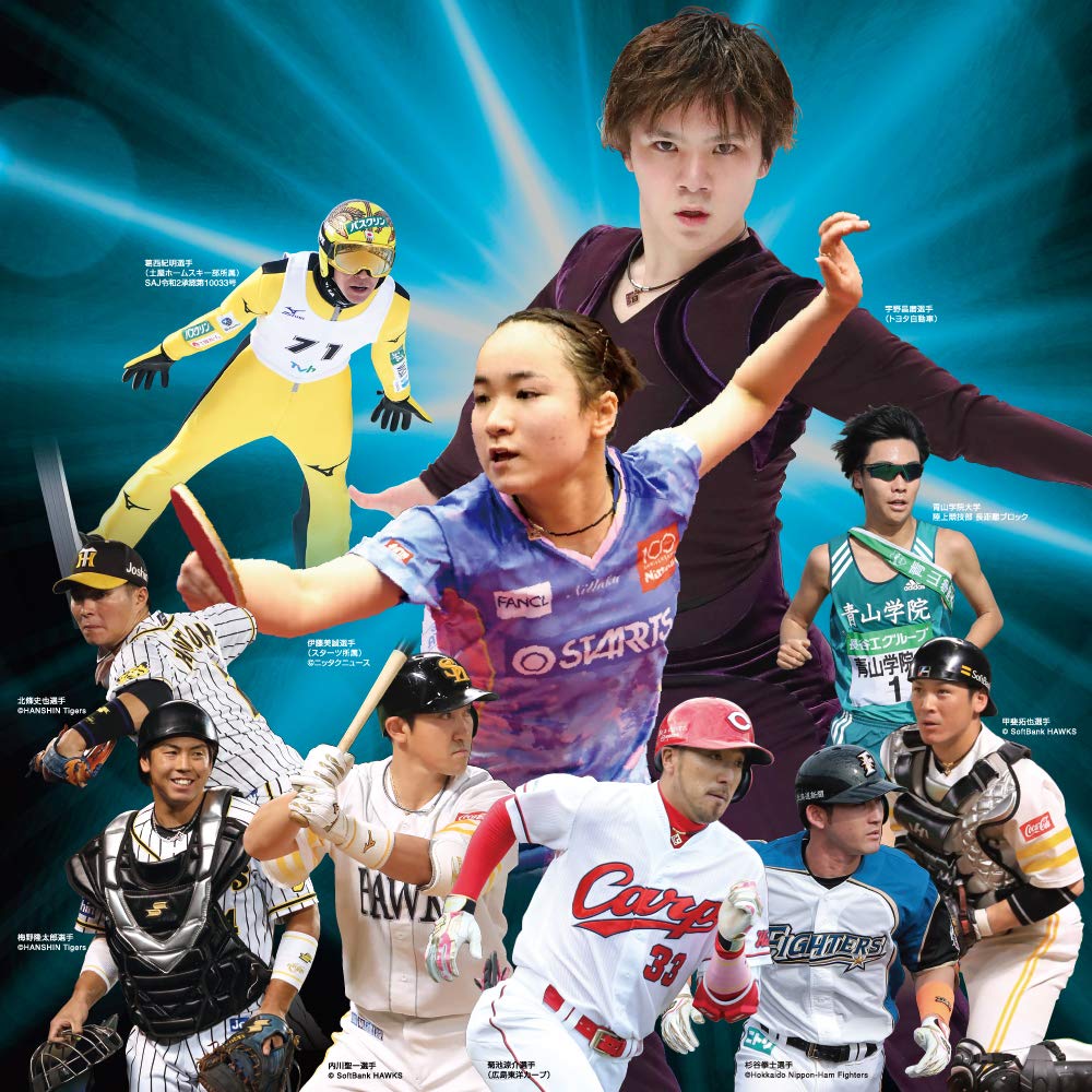 Colantotte TAO Necklace Slim RAFFI Mini Silver Black