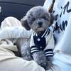 Warm Pet Baseball Jackets Thicken Dog Sweatshirt Fashion Pet Baseball Uniform  Spring Autumn Wear