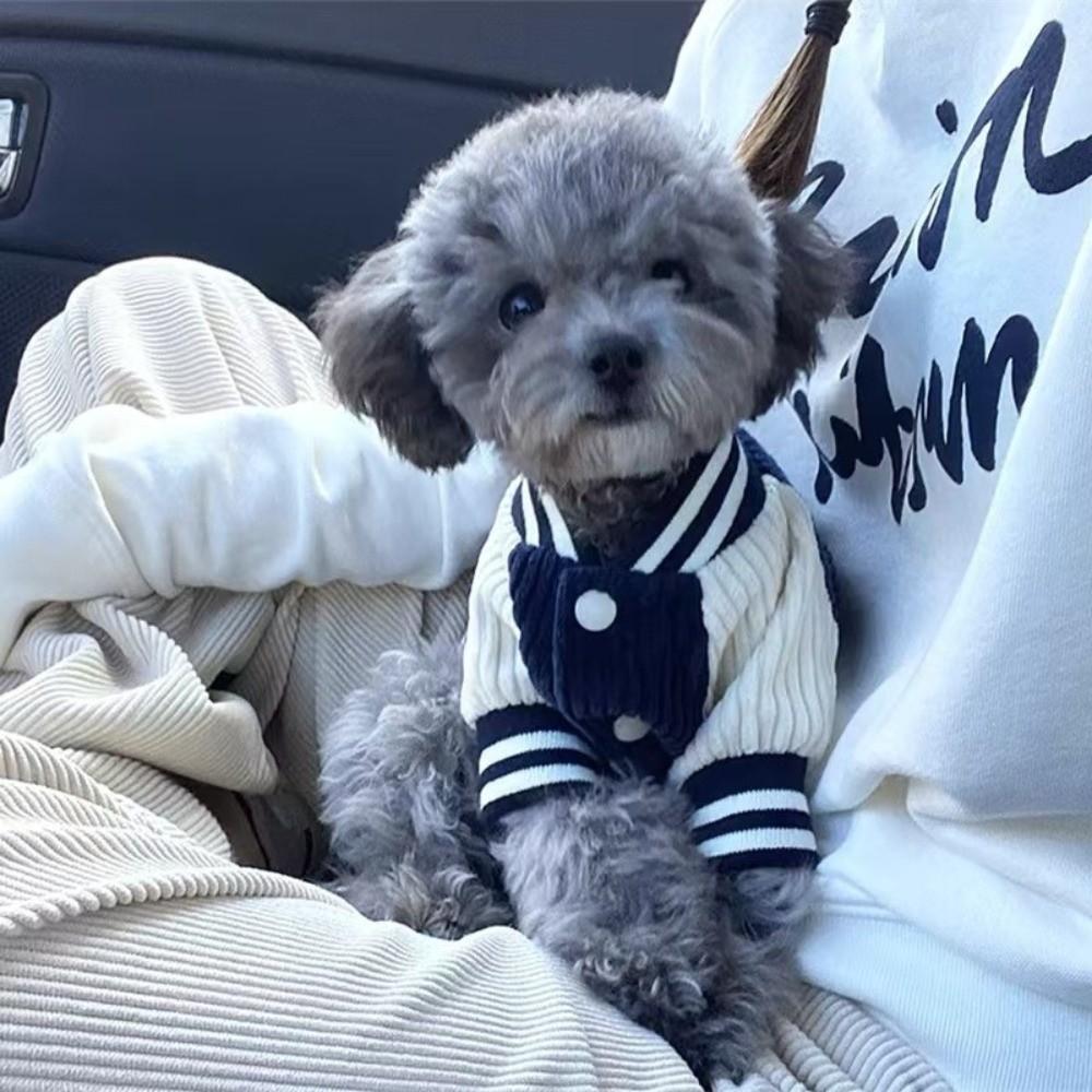 Warm Pet Baseball Jackets Comfortable Thicken Two-Legged Dog Clothing Embroidered Patterns Dog Sweatshirt Spring Autumn Wear
