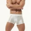 Men's Smooth Satin Ice Silk Boxer Briefs Low Waist Seamless Breathable Underwear Solid Color Soft Daily Wear Shorts