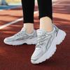 Fashion 2025 New Anti Slip Breathable Mesh Women's Running Shoes, Casual and Fashionable, Multi Functional Women's Dad Shoes Silvery