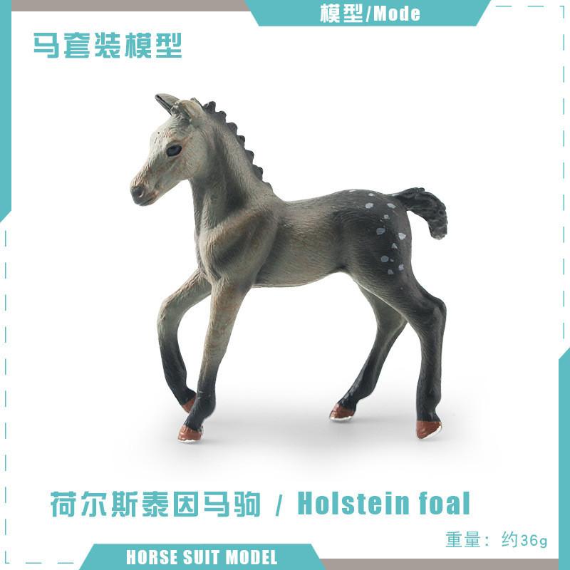 Realistic Pvc Belgian Foal Model Toy Beautifully Crafted Purebred Horse Figurine
