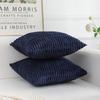 2 Pieces/set Soft Corduroy Pillowcase Striped Design Reversible Sided Throw Pillow Velvet Texture Ribbed Velvet Cover