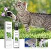 Gatos – Cuidados de gatos