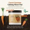 SKINFOOD - Carrot Carotene Calming Water Pad