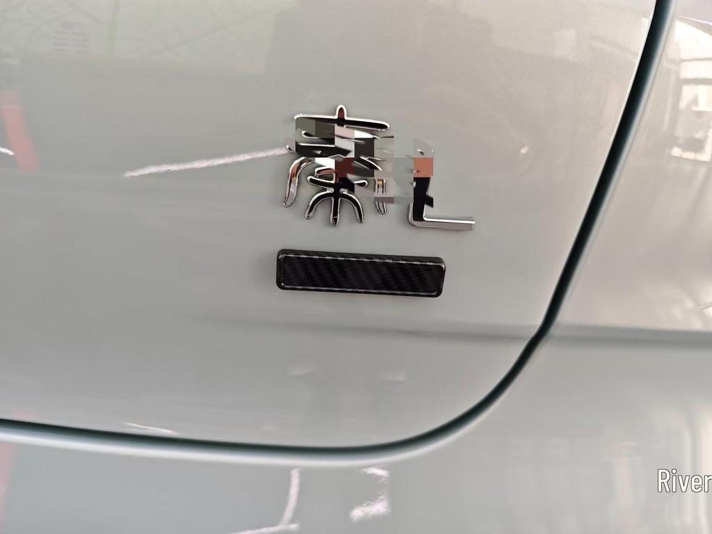 Compatible with 2024 Qin L/Dmi: Door Handles, Door Cups, Mirror Covers, Grille, Spoiler, Fender, Shark Fin.