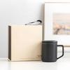 Ceramic Tea and Water Separation Mug with Lid and Filter - Office Event Souvenir