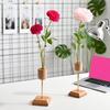 Plant Propagation Station Wooden Stand with Glass Test Tube Vase