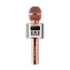 TWS Dual Wireless Karaoke Microphone Bluetooth Speaker 5W RGB Light Voice Changer Professional Halloween Party Solution Home KTV Kids Adults