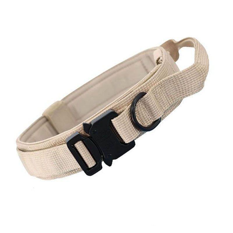 Heavy-Duty Dog Leash and Collar for Medium and Large Dogs