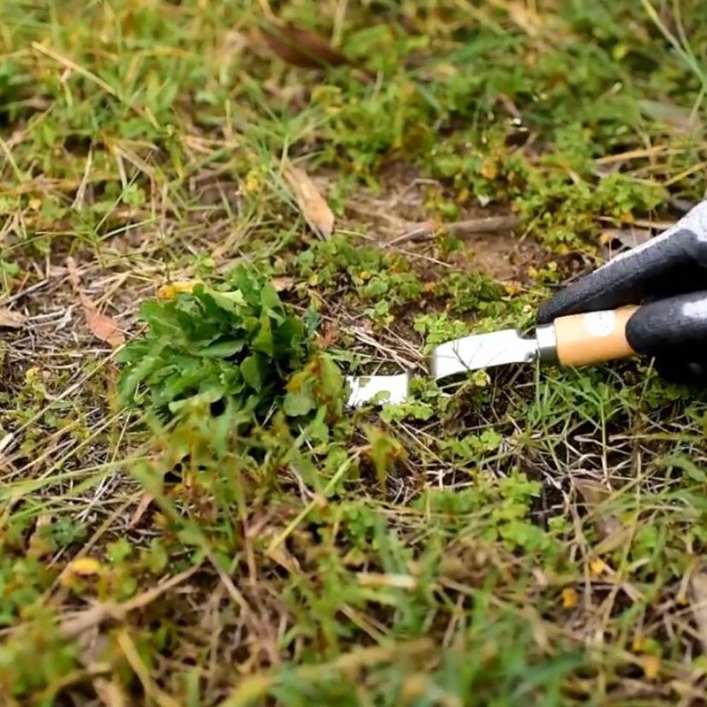 Hand Weeding Fork Manual Weed Extractor Stainless Steel Grass Remover with Long Prongs and Ergonomic Handle