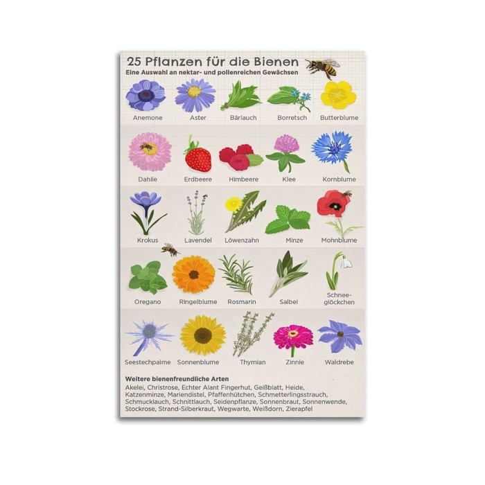 Samsung Galaxy A56 5G 8 Go/256 Go Noir (Awesome Graphite) Double SIM SM-A566