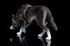 1/6 Scale Coyote Wolf Animal Figure, Realistic PVC Plastic Model, Premium Adult Toy, 20cm Class, Original Statue, Painted, Complete, Perfect for Anima