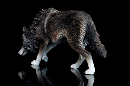 1/6 Scale Coyote Wolf Animal Figure, Realistic PVC Plastic Model, Premium Adult Toy, 20cm Class, Original Statue, Painted, Complete, Perfect for Anima