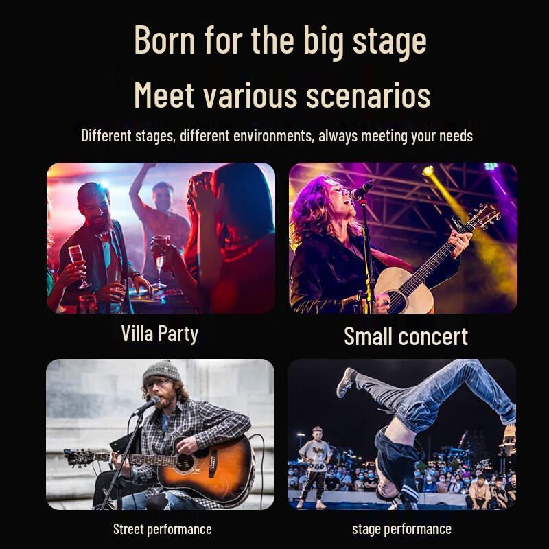 SAST Professional KTV & Meeting All-in-One Audio System ST-2118 CN plug (adapter included)