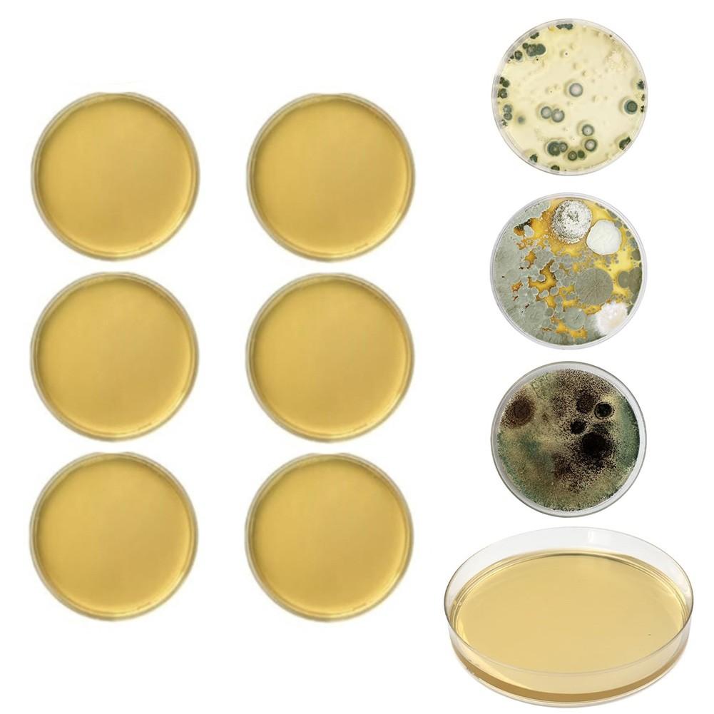 

Набор для самостоятельного тестирования на наличие плесени с 10 отдельными тестами на качество воздуха в доме