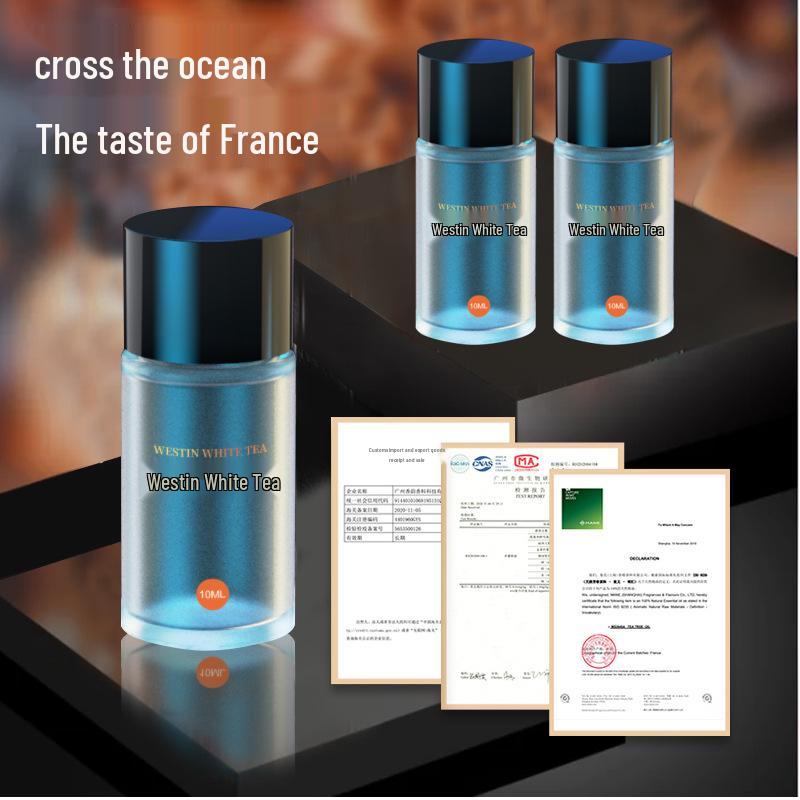 Intelligent Car Aromatherapy Diffuser with Automatic On/Off & Air Vent Fragrance