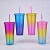 Rainbow Color Wind Double-Layer Plastic Straw Cup Matte Easy Cup Outdoor Sports Water Cup