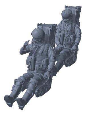 HMA Super Hornet Pilot Sitz Set Resin Bausatz Formgegossen Farbe 1/72 F/A-18E/F + SJU-17