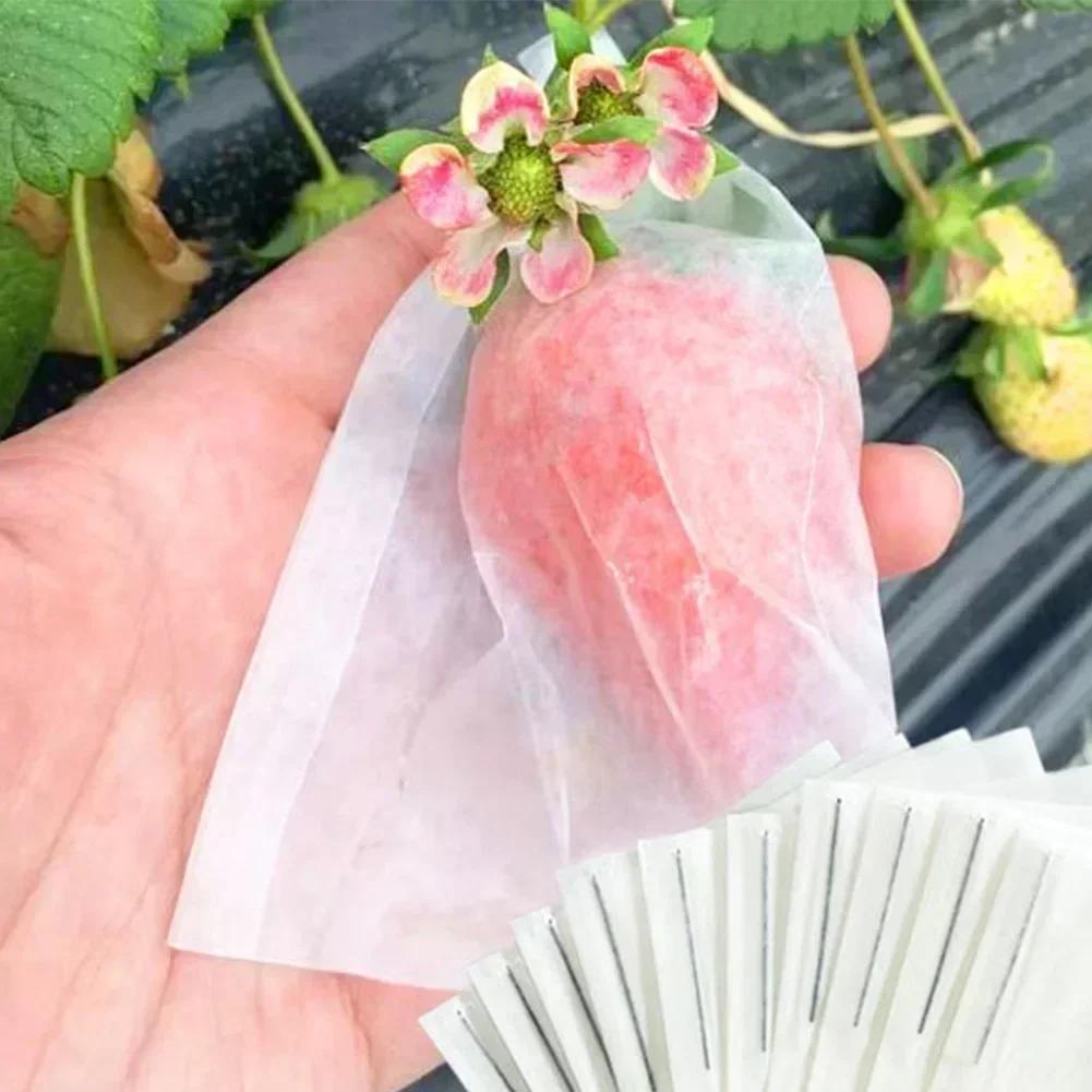 

Garden Tool Strawberry Fork Gardening Experience Efficient Gathering Tool Ergonomic Design Long-lasting Performance China Mainland