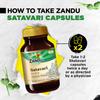 Zandu Satavari Capsules With Natural Satavari Extract For Women’s Wellness Nutritional Support 60 Veg Capsules X Pack Of 2