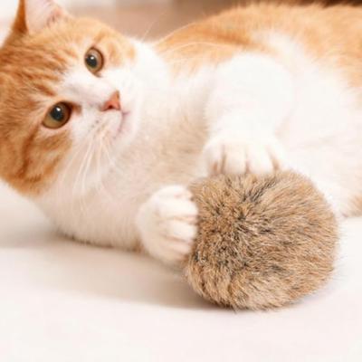 5 Stück Pelzball Katzenspielzeug Weicher Flauschiger Kunstpelzball Waschbarer Flauschiger Ball Katzen-Hasen-Kick-Spielzeug für Indoor-Übungen Jagd- und Beutetrieb