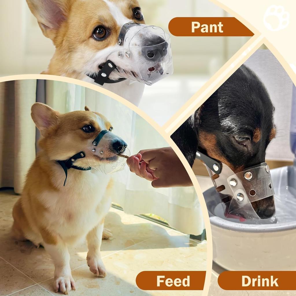 Mayerzon Dog Muzzle, Basket Muzzle for Small Medium Dogs Poodle Dachshund Corgi, Clear Puppy Mouth Cover for Grooming Vet Visits to Prevent Biting
