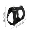 Soft Padded Pet Harness Compatible for Sports Cameras Recording from Your Dog's Perspective with Accessories