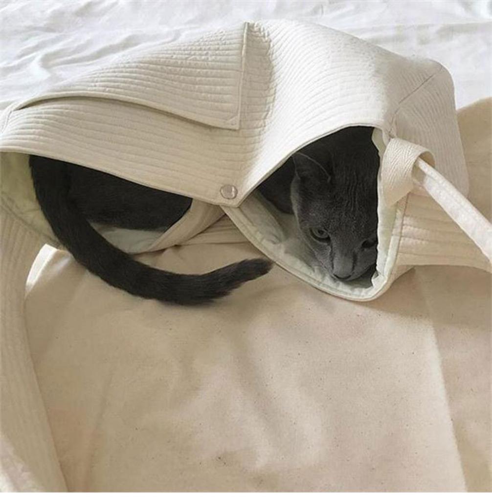 Backpack Bag Cat Dog Comfort Breathable One Shoulder Crossbody Bag Outdoor Travel Dog Cat Canvas Crossbody Bags Pet Supplies